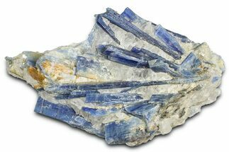 Vibrant Blue Kyanite Crystals In Quartz - Brazil #368781