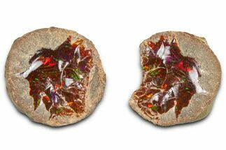 Ethiopian Chocolate Opal Nodule (Pair) - Yita Ridge #369080
