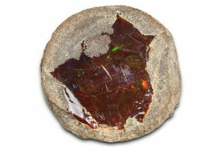 Ethiopian Chocolate Opal Nodule - Yita Ridge #369086