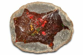 Ethiopian Chocolate Opal Nodule - Yita Ridge #369132