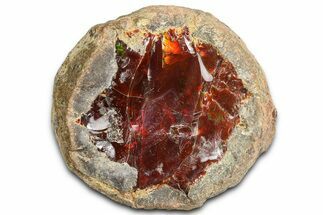 Ethiopian Chocolate Opal Nodule - Yita Ridge #369138