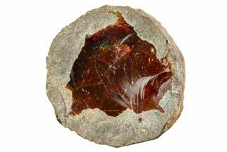 Ethiopian Chocolate Opal Nodule - Yita Ridge #369088