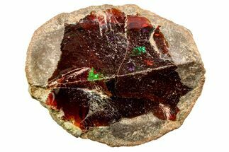 Ethiopian Chocolate Opal Nodule - Yita Ridge #369106