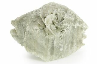 Selenite Crystal - Box Elder County, Utah #369275