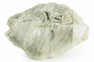 Selenite Crystal - Box Elder County, Utah #369277