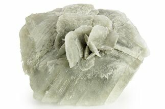 Selenite Crystal - Box Elder County, Utah #369280