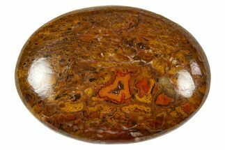 Polished Dinosaur Bone (Gembone) Cabochon - Colorado #370708