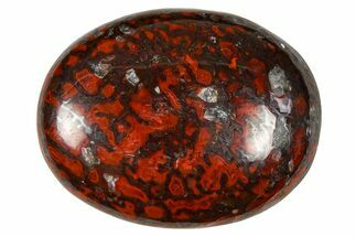 Polished Dinosaur Bone (Gembone) Cabochon - Colorado #370719