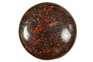 Green Agatized Dinosaur Bone - Polished (#11448) For Sale