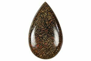 Large Agatized Dinosaur Bone Chunk (Polished) (#6967) For Sale