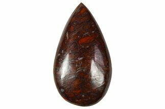 Polished Dinosaur Bone (Gembone) Cabochon - Colorado #370761