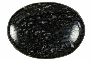 Polished Dinosaur Bone (Gembone) Cabochon - Colorado #370768