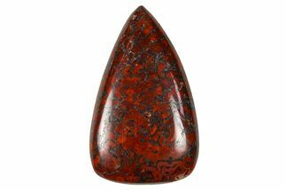Polished Dinosaur Bone (Gembone) Cabochon - Colorado #370770