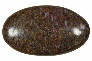 Polished Dinosaur Bone (Gembone) Cabochon - Colorado #370771