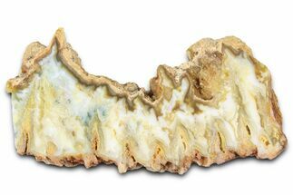 Polished Gabbs Valley Seam Agate Slab - Nevada #371162