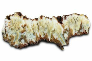 Polished Gabbs Valley Seam Agate Slab - Nevada #371175