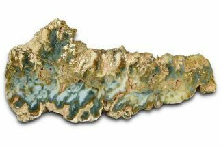 Polished Gabbs Valley Seam Agate Section - Nevada #371180