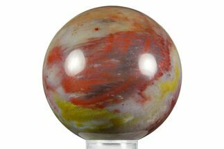 Rainbow Colored, Polished Petrified Wood Sphere - Arizona #371159