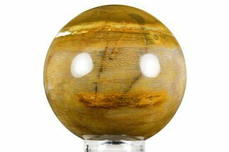 Badger Pocket Petrified Wood (Sycamore) Sphere - Washington #371211