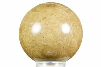 Polished Bird's Eye Jasper (Rhyolite) Sphere - Utah #371231