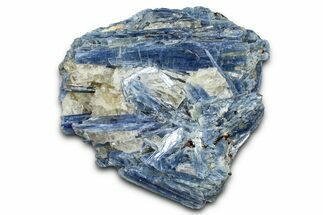 Vibrant Blue Kyanite Crystals and Staurolite In Quartz - Brazil #368807