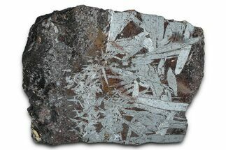 Polished Crystalline Hematite & Magnetite Section - Nevada #371260