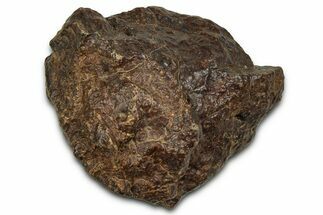 Chondrite Meteorite ( g) - Western Sahara Desert #371287
