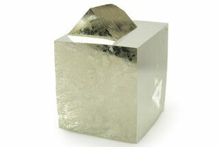 Shiny, Natural Pyrite Cube - Navajun, Spain #361961