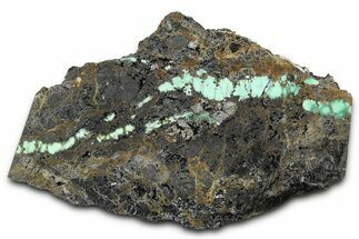 Polished Turquoise in Matrix Slab - Nevada #371565