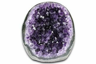 Free-Standing Amethyst Crystal Cluster - Uruguay #371613