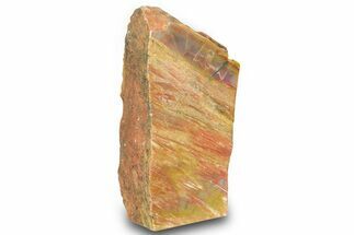 Free Standing Petrified Wood (Araucarioxylon) - Arizona #371660