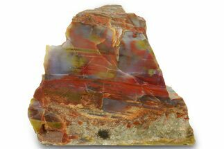 Free Standing Petrified Wood (Araucarioxylon) - Arizona #371679