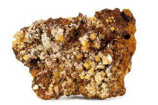 Orange Wulfenite & Calcite on Matrix - Mexico #372094