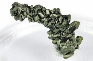 Glistening Marcasite Crystal Stalactite - Linwood Mine, Iowa #372124