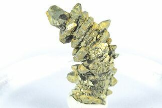 Glistening Marcasite Crystal Stalactite - Linwood Mine, Iowa #372132