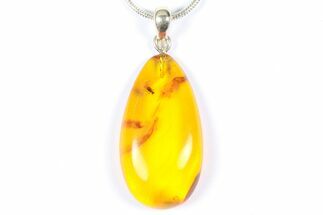 Polished Baltic Amber Pendant (Necklace) - Contains Fly! #368897