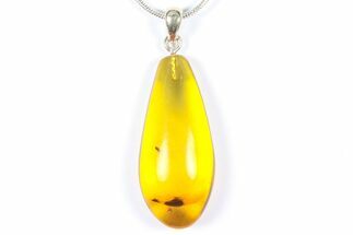 Polished Baltic Amber Pendant (Necklace) - Contains Insect! #368900