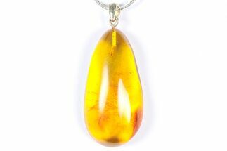 Polished Baltic Amber Pendant (Necklace) - Contains Fly! #368914