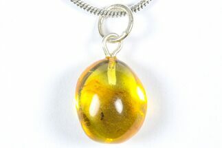 Polished Baltic Amber Pendant (Necklace) - Contains Wasp! #368998