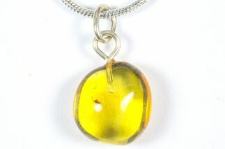 Polished Baltic Amber Pendant (Necklace) - Aphid Nymph! #368999
