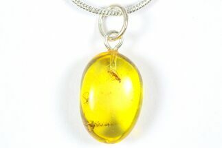 Polished Baltic Amber Pendant (Necklace) - Contains Flies! #369020