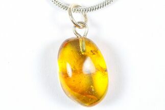 Polished Baltic Amber Pendant (Necklace) with Beetle and Fly! #369024