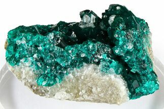 Emerald-Green Dioptase Crystal Cluster - Congo #372195