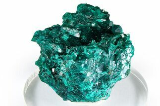 Emerald-Green Dioptase Crystal Cluster - Congo #372199