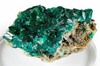 Emerald-Green Dioptase Crystal Cluster - Congo #372203