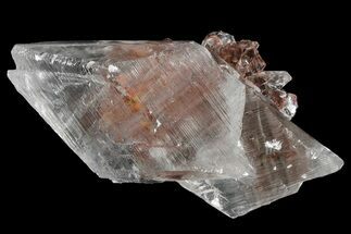 Glassy Selenite Crystal Cluster - Naica Mine, Mexico #372215