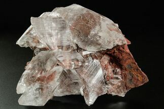 Glassy Selenite Crystal Cluster - Naica Mine, Mexico #372162