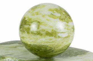 Polished Noble Serpentine Sphere with Base - Washington #372632