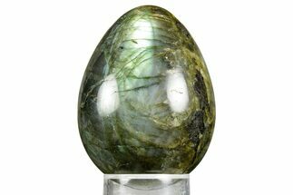 Polished Labradorite Egg - Madagascar #372812