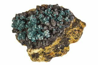 Teal Blue Rosasite on Goethite - Mexico #372780